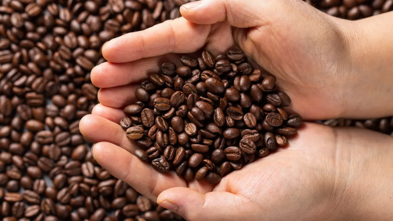 Café de especialidad en Ecuador